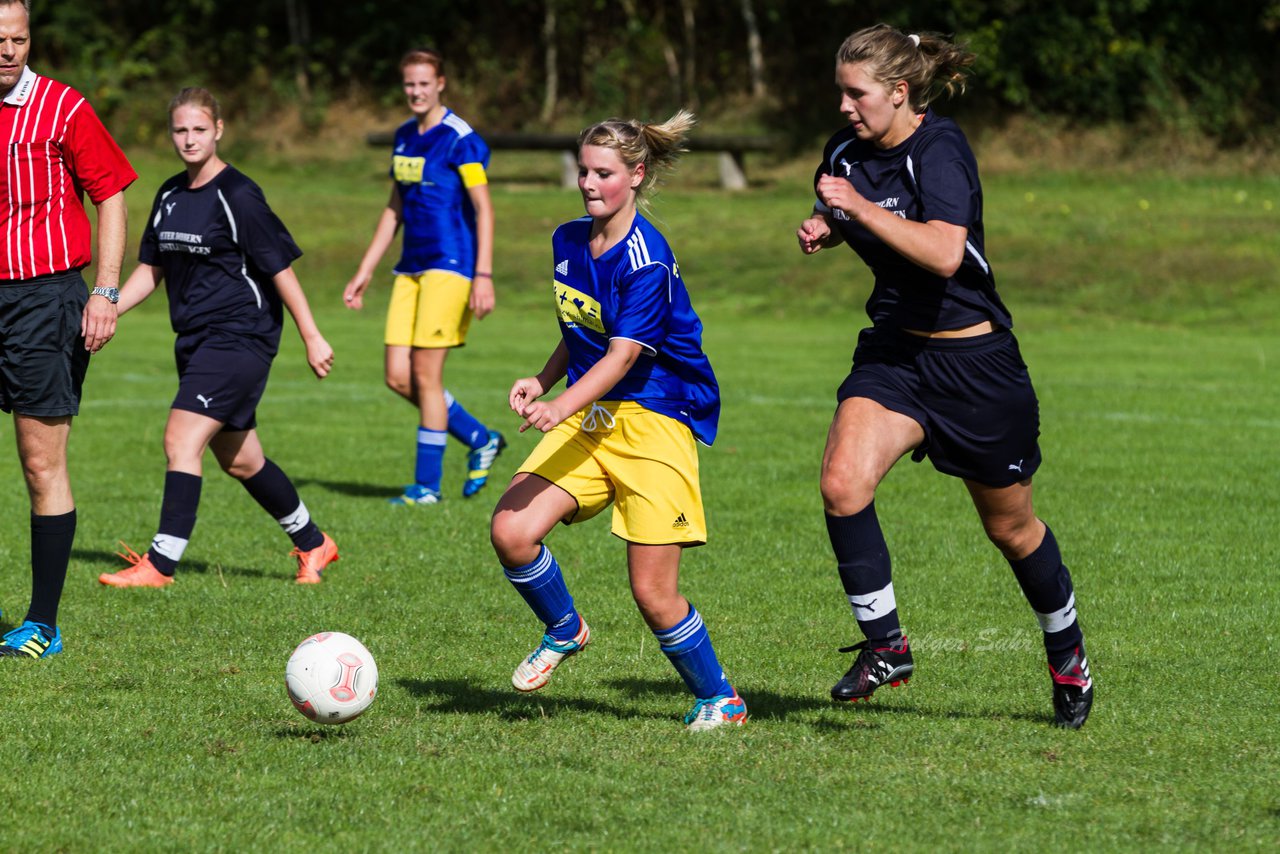 Bild 384 - Frauen TSV Gnutz - SG Slfeld/Oe/Se/Stu : Ergebnis: 2:3